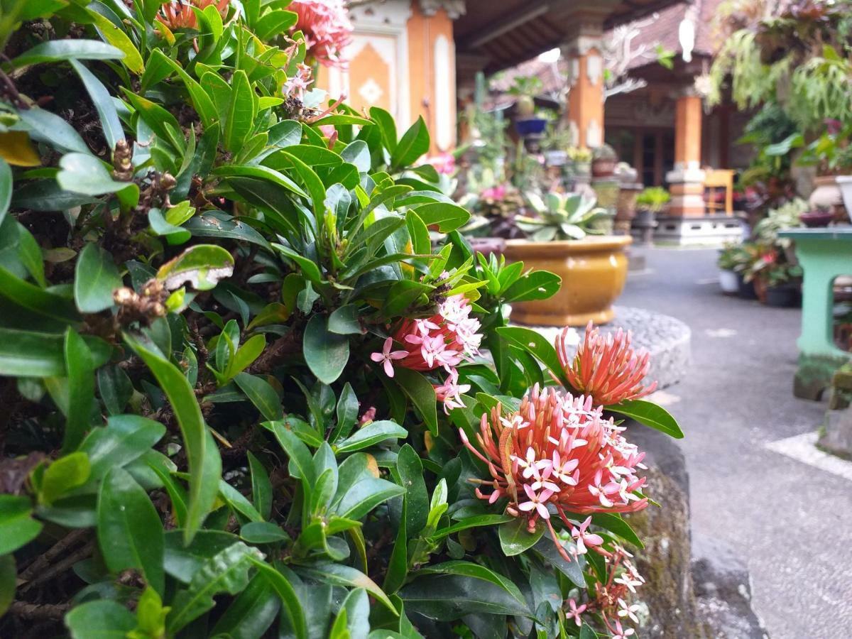 Puri Asri Bungalow Ubud Esterno foto